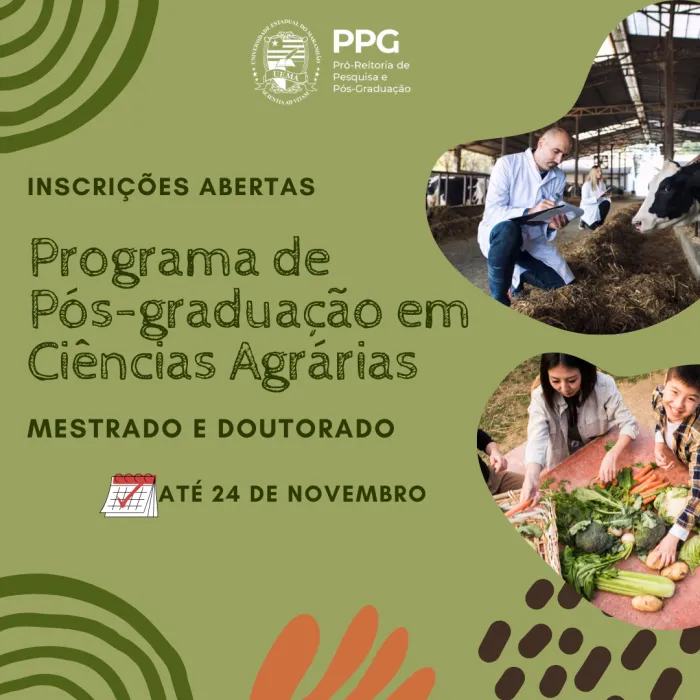 Foto: Reprodução/Secom Maranhão