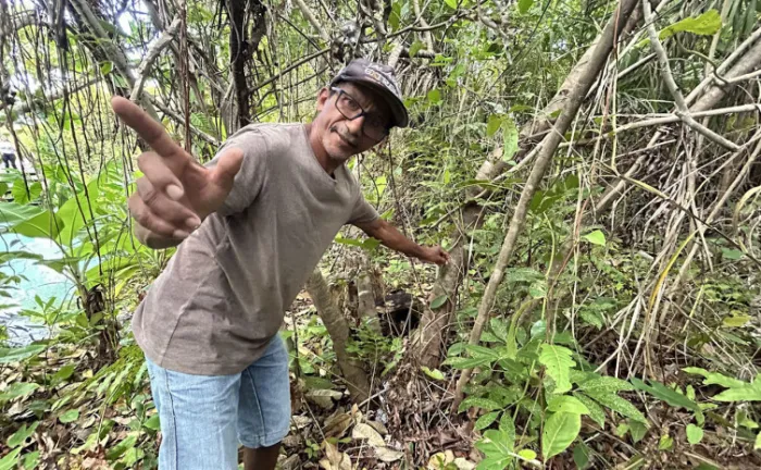 Naturatins financia pesquisa sobre baunilhas nativas
