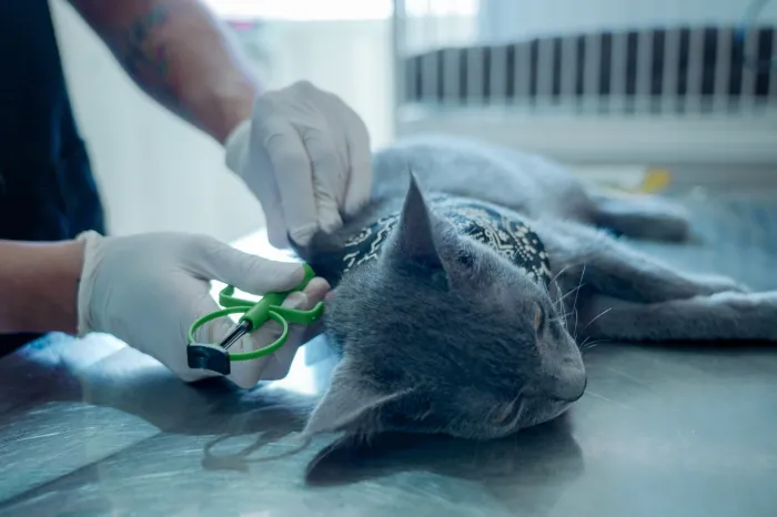 (Foto: Ascom Prefeitura/Andrew Aragão)