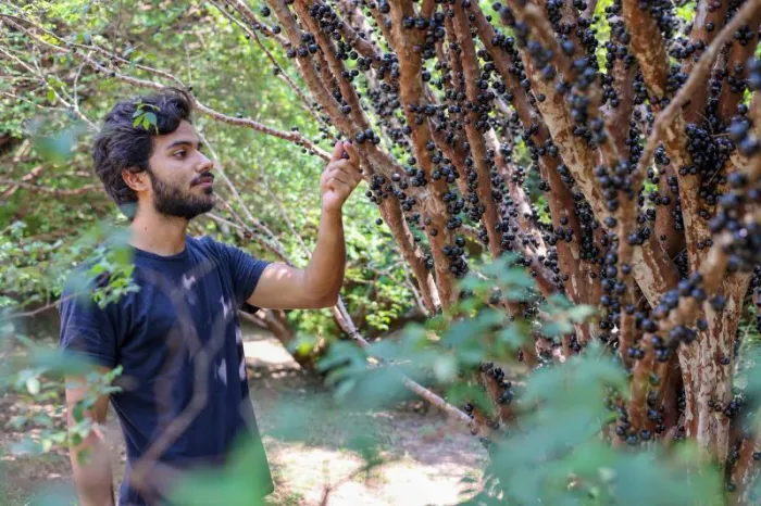 Conheça os pratos produzidos disponíveis na Rota Gastronômica de 14 a 17 de novembro