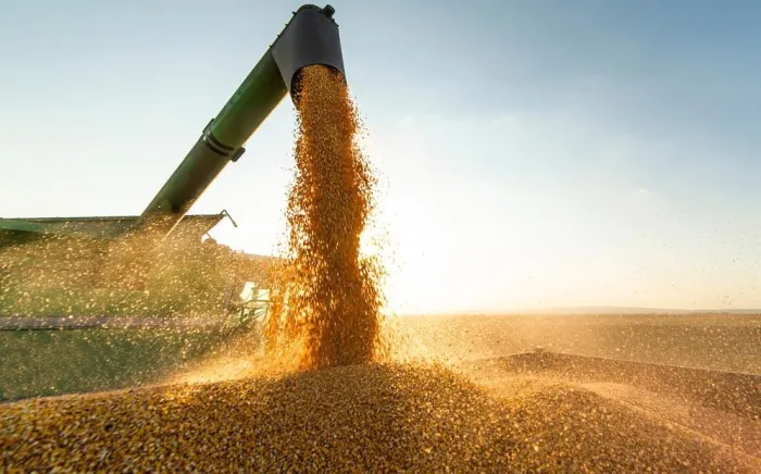 Seplan divulga resultados das Contas Regionais e PIB do Piauí em evento na quinta (14)