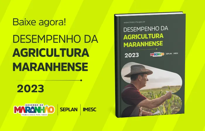 Foto: Reprodução/Secom Maranhão