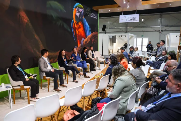 Acre integra painel sobre desafios e oportunidades do cadastro ambiental rural na abertura da COP 29, no Azerbaijão 