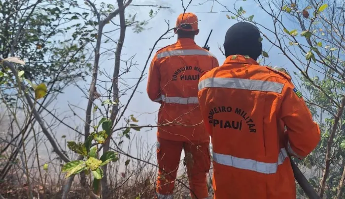 Foto: Reprodução/Secom Piauí