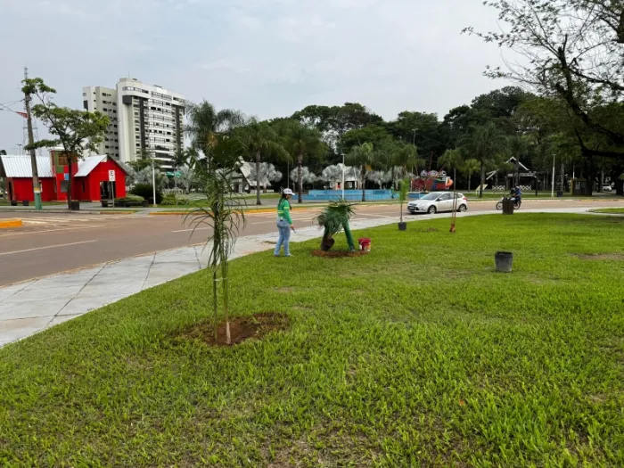 Crédito:Divulgação - 