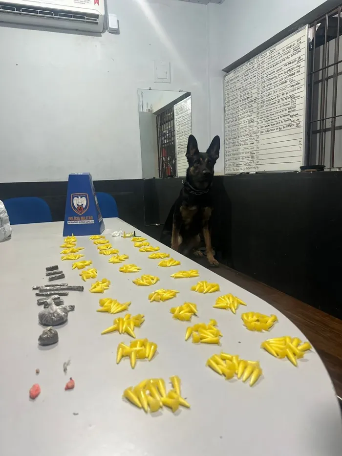 10º PM APREENDE DROGAS EM GUARAPARI DURANTE O FINAL DE SEMANA