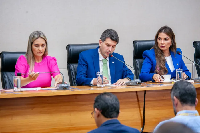 Foto: Eurico Eduardo/Agência CLDF