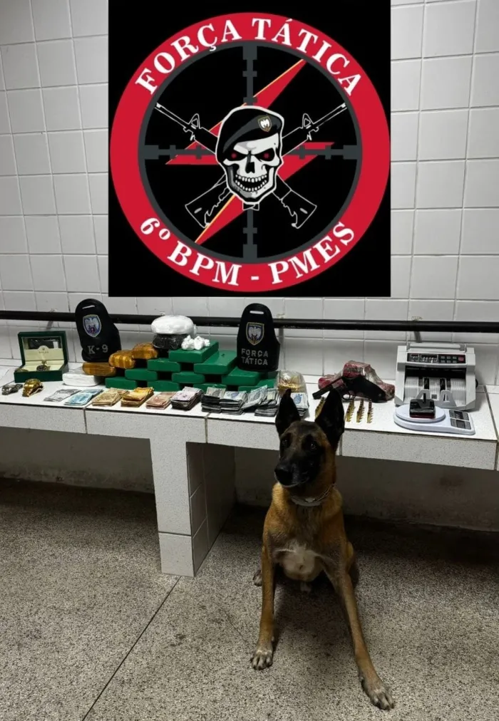 Força Tática do 6º BPM apreende tabletes de maconha e arma de fogo
