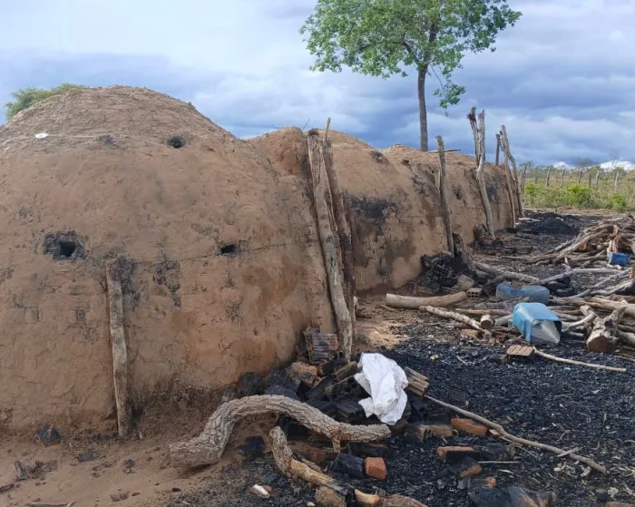 Operação Cerrado Vivo: Semarh desmonta carvoaria na região do município de Corrente