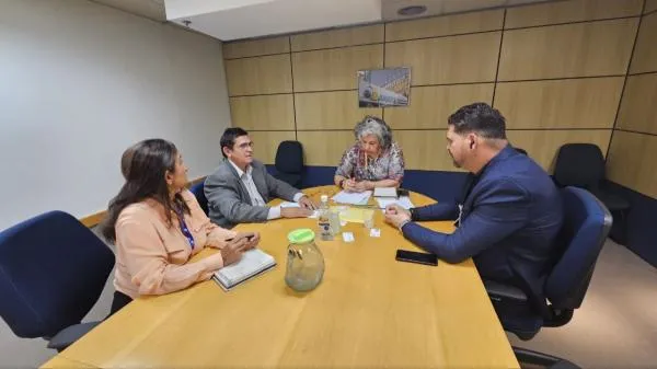 Foto: Reprodução/Câmara de Sorriso - MT