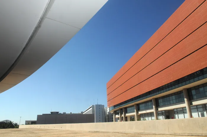 Foto: Rinaldo Morelli/Agência CLDF