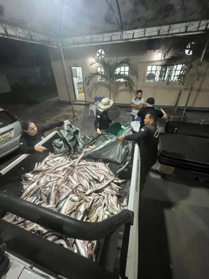 Semma: Fiscalização do Defeso da Piracema apreende mil metros de malhadeiras e 320 kg de pescado