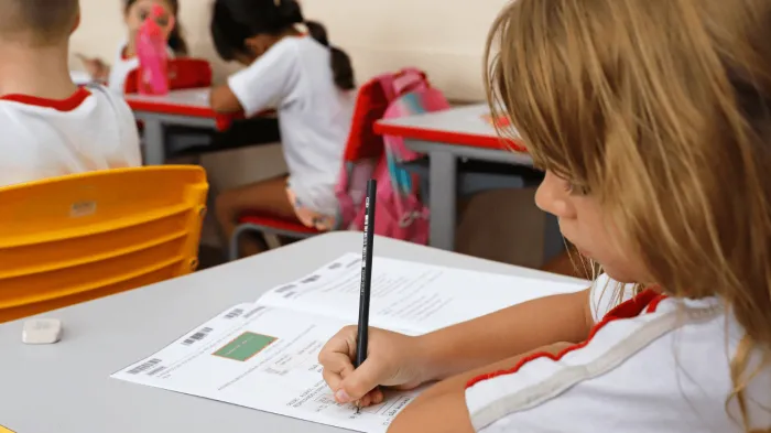 O ensino e a importância dos encontros formativos na Educação