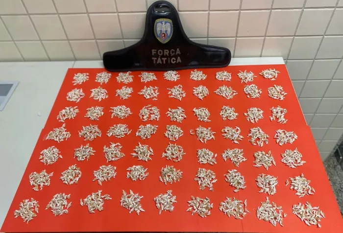 Casal é preso pela PM com mais de 1900 pedras de crack