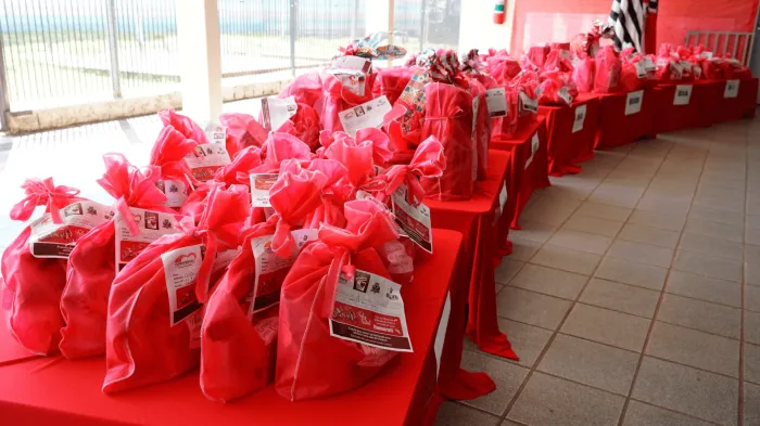 Entrega de presentes da campanha de Natal 2024 começa nesta sexta
