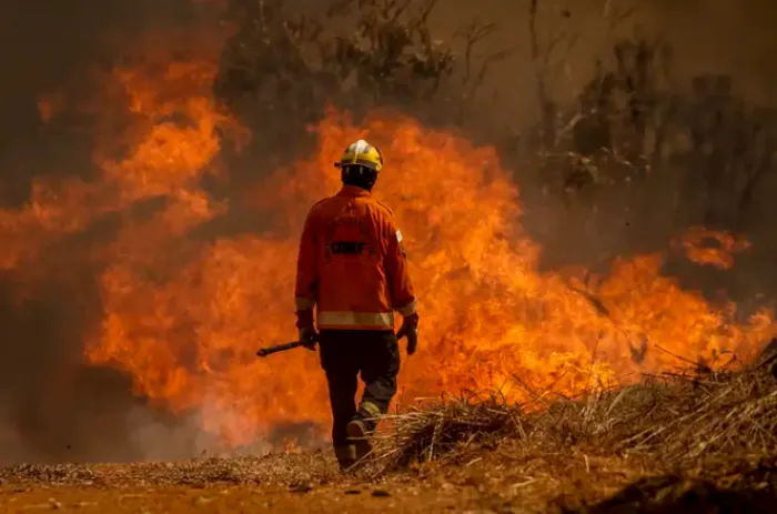 Brigadistas voluntários de incêndios são homenageados em sessão solene nesta segunda (21)
