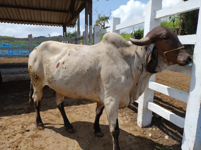 Foto: Reprodução/Secom Paraíba