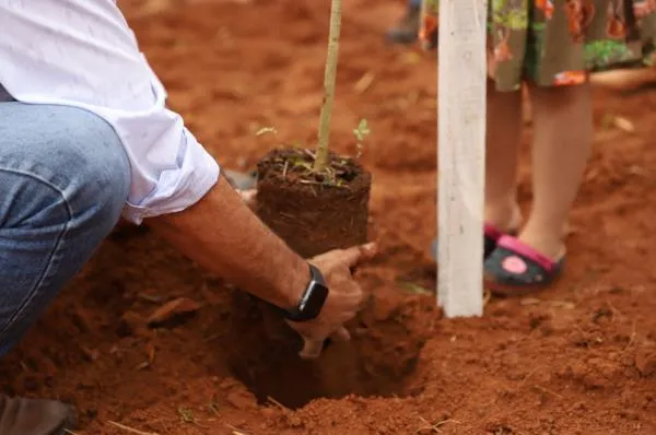 Foto: Reprodução/Prefeitura de Sorriso - MT