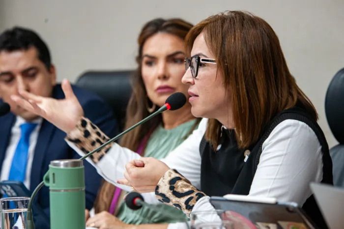 Iges presta contas à CLDF sobre UPAs e hospitais do Sol e de Santa Maria