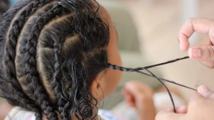 Foto: Reprodução/Prefeitura de Palmas - TO