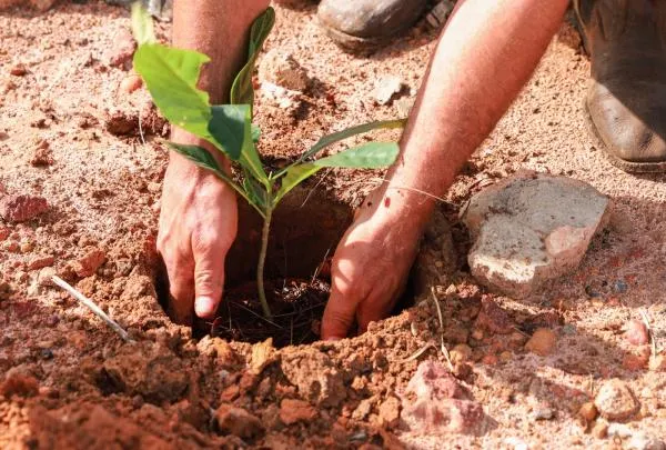 Foto: Reprodução/Prefeitura de Sorriso - MT