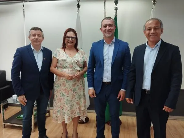 Foto: Reprodução/Câmara de Sorriso - MT