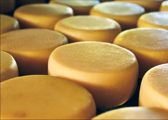 Atuação do Governo de Minas dá visibilidade mundial ao Queijo Minas Artesanal 