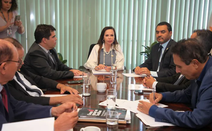 Governador Wanderlei Barbosa se reúne com bancada federal e articula destinação de R$ 200 milhões para fortalecer o sistema de saúde do Estado