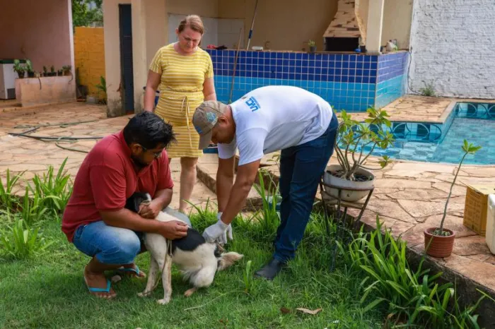 Cães e gatos da zona rural são vacinados contra raiva