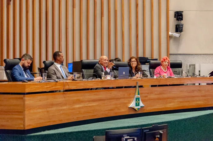 Audiência pública debate avanços e desafios dos Conselhos Tutelares