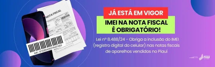 Foto: Reprodução/Secom Piauí