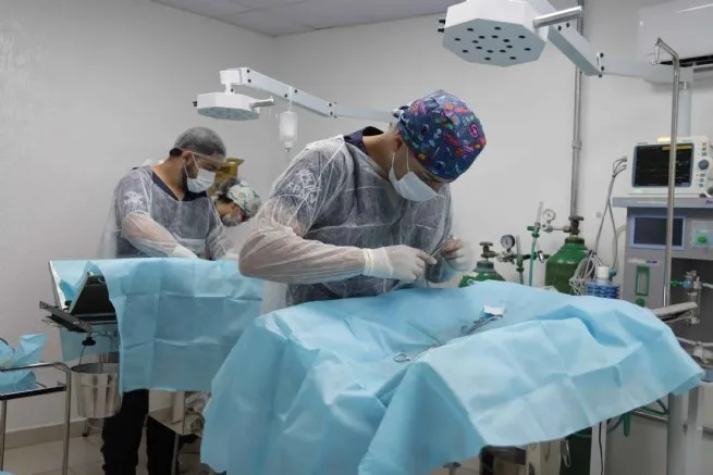 PATA de São Sebastião realiza mais de 20 castrações no 7° Mutirão de Castração Animal