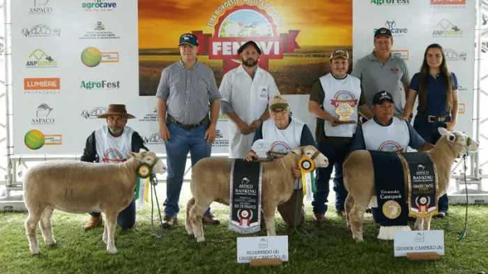 Organização celebra resultados da 4ª FENOVI
