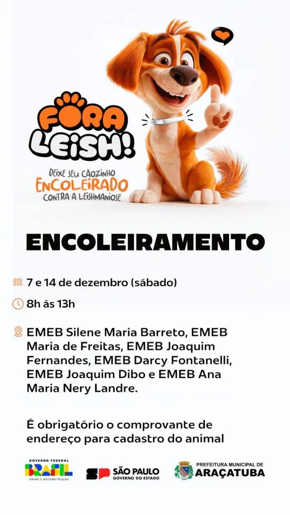 Araçatuba intensifica campanha 