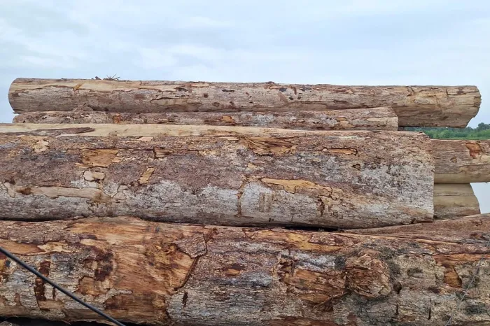 Crédito: Divulgação