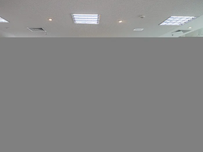 Foto: Reprodução/Secom Paraná