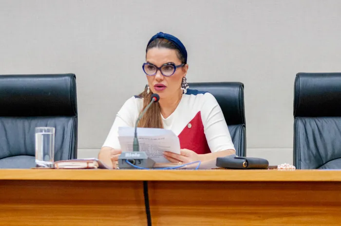 Foto: Vinicius Vicente/Agência CLDF