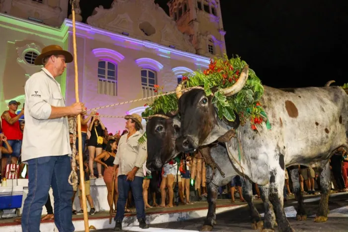 Cortada do Mastro abre tradicional Festa de São Benedito no próximo domingo (15) em Serra Sede