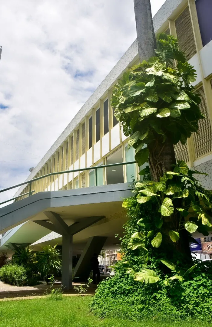 Caruaru celebra conquista ao receber Selo UNICEF e sediar cerimônia de certificação para 81 municípios