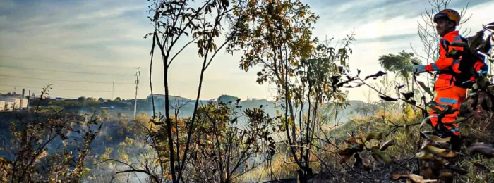 CBMMG / Divulgação