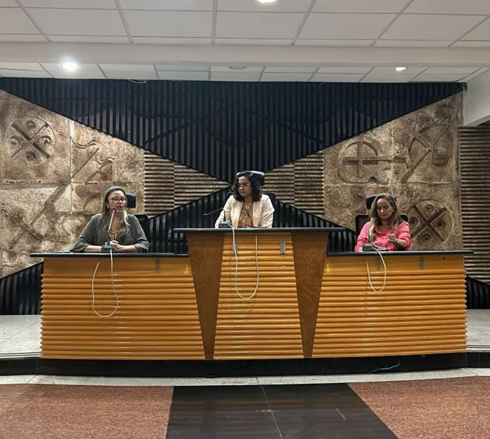Foto: Reprodução/Secom Piauí
