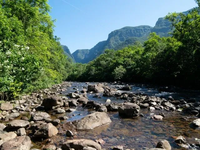 Hotsite da Epagri/Ciram apoia regularização ambiental de propriedades rurais catarinense