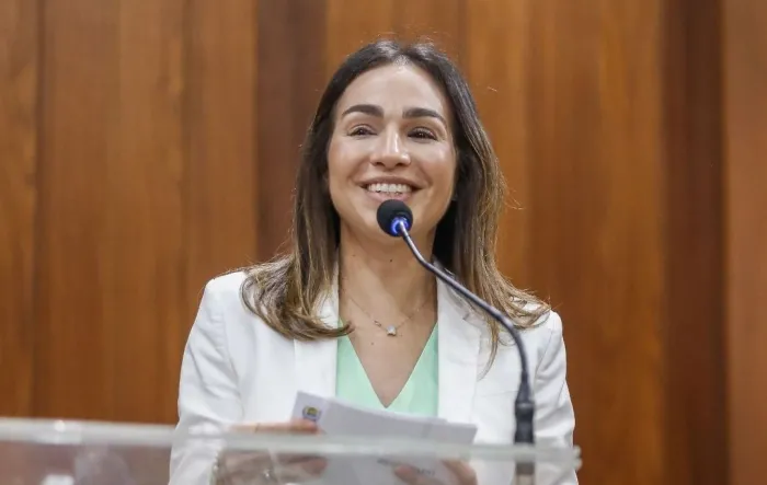 Foto: Reprodução/Secom Piauí
