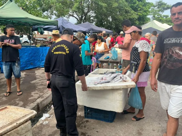 Defeso da Piracema: Semma apreende mais 175 kg de pescado ilegal na Feira da Folha 28