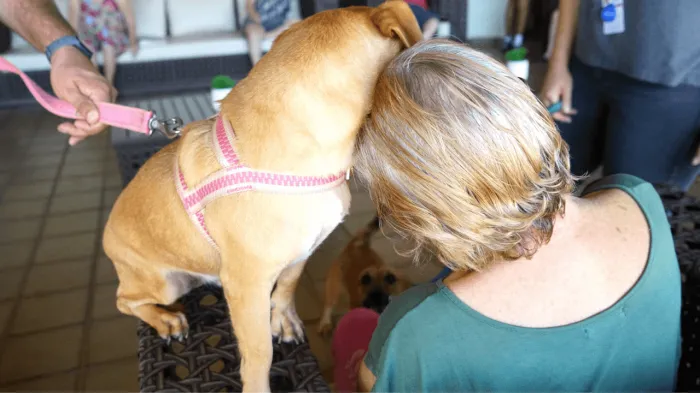 Bem-estar Animal visita Centro de Geriatria
