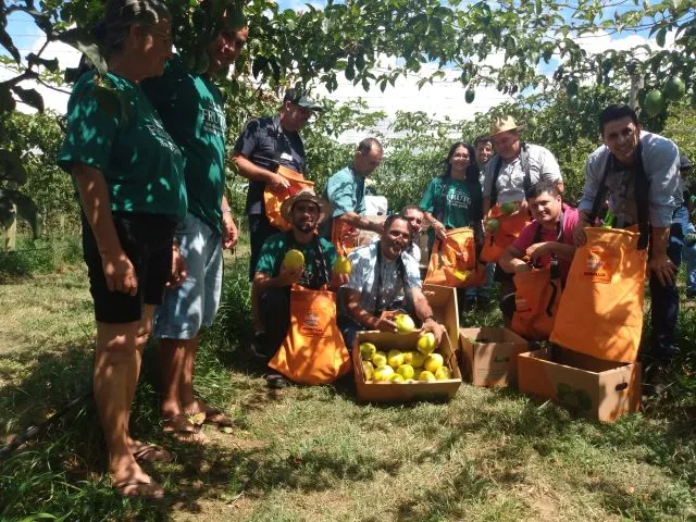 Balneário Gaivota sedia abertura da colheita do maracujá em Santa Catarina na próxima quinta