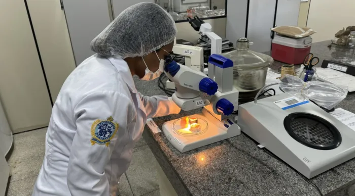 ITPS avança em pesquisa e garante assistência ao produtor sergipano