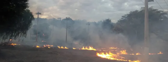 Cemig / Divulgação