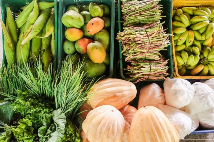 Governo do Estado entrega 30 toneladas de alimentos para famílias em vulnerabilidade nesta sexta (20)