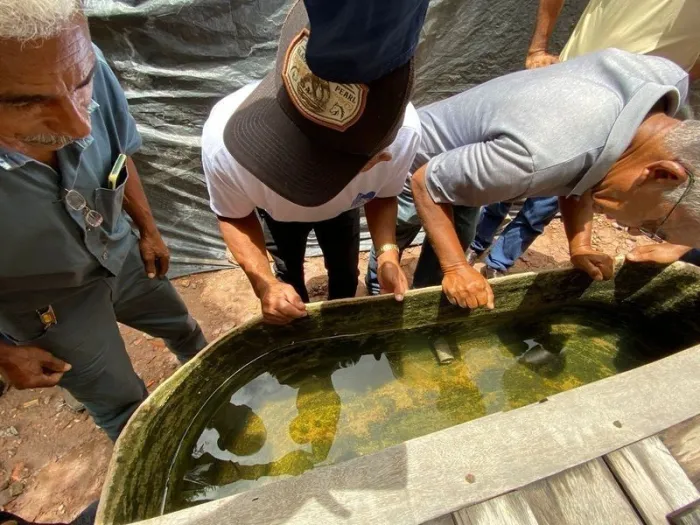Mais de 180 municípios do Piauí apresentam situação satisfatória no controle do Aedes aegypti em 2024